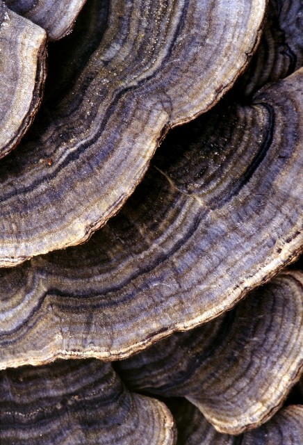 12AbsractElMorro 087