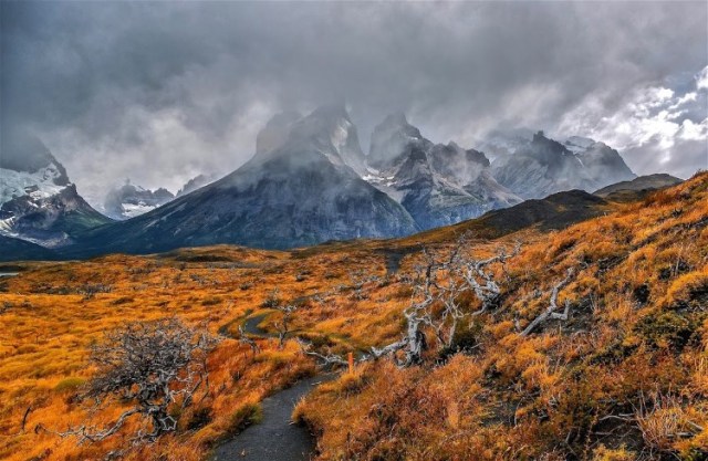 1Patagonia Barbara Seibert-Stark