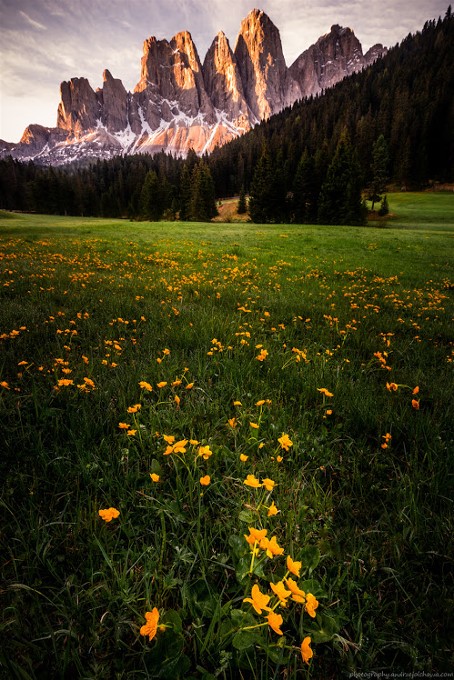 2Dolomites-4Andrezej Olchawa