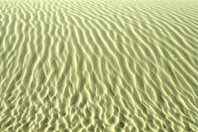 8Copy of DSC_0210bbb