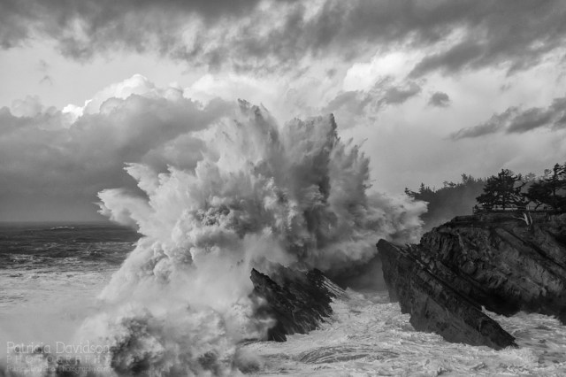 Crashing waves at Shore Acres State Park during high surf advisory along the Oregon Coast.