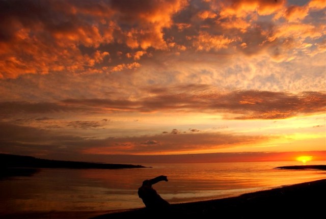 Copy of DSC_4948bbbFB