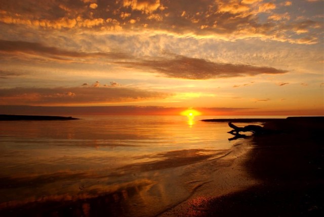 Copy of DSC_4960bbbFl