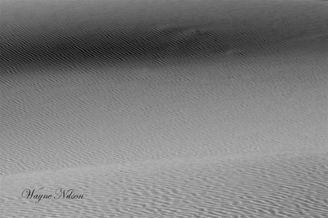 Copy of Copy of DSC_0174