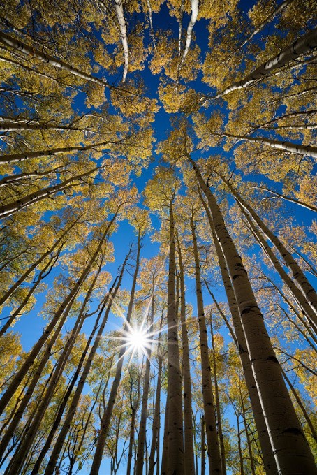 Aspen-Heights-webJustinReznick