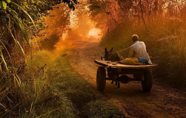 Fabian Munoz Docampo