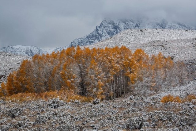 zMonoLakeBasinCaliforniaJeffSullivan