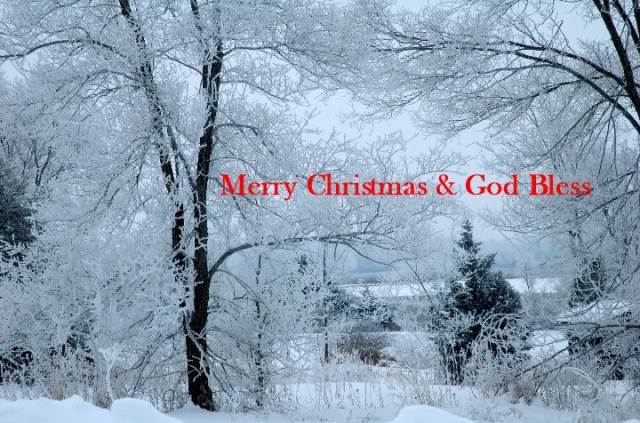 15Copy of 41BongFrost 024