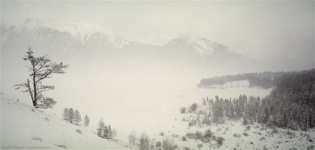 8FilmShitDarwinWiggett