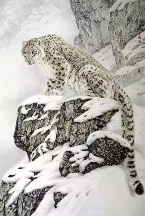 9SnowLeopardFarzaneTorabi