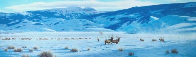 4tucker_smith_the_refuge_800