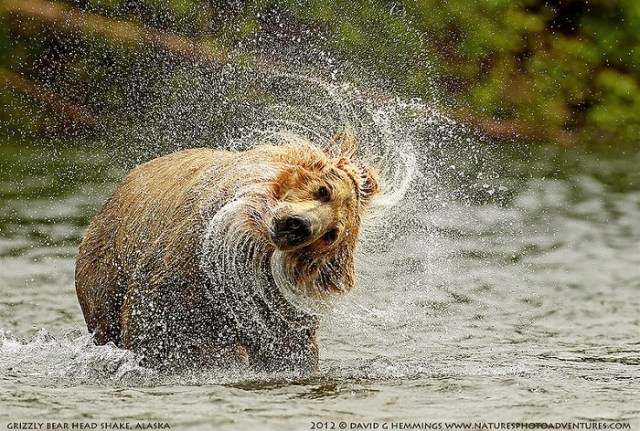 69b040_72f4e5d6c2a648d5929d60e011c25cdcDavidHemmings