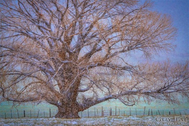 12814061_10154092588629708_1028325166538244075_n