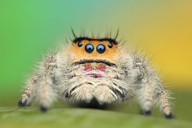 21086033485_93ae474078_b