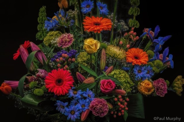 VibrantFlowersPaulMurphy