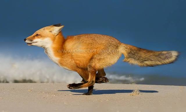 12814399_1570261173289317_966891238881948788_n