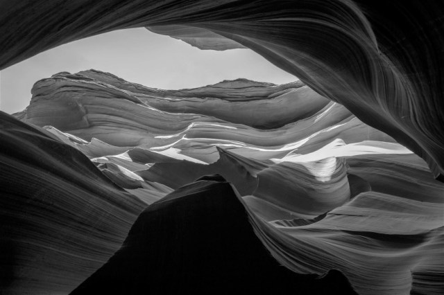 13123192_10206427683873890_8666541645919524688_o