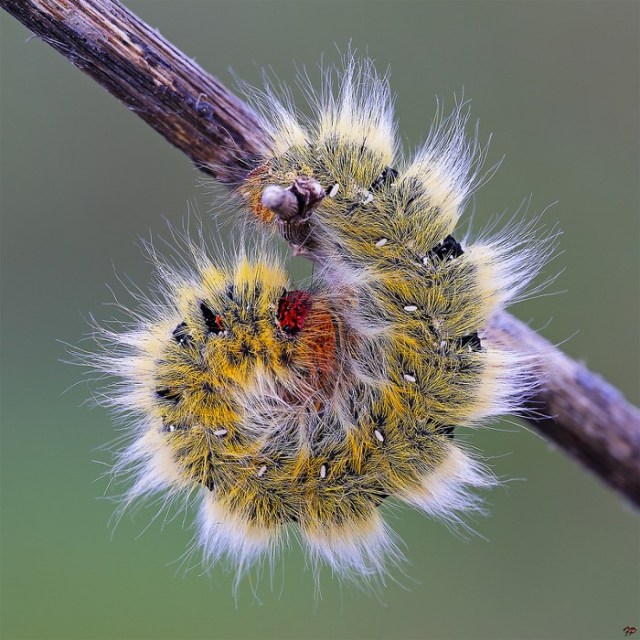 1d25722082686_d0e42caef7_c