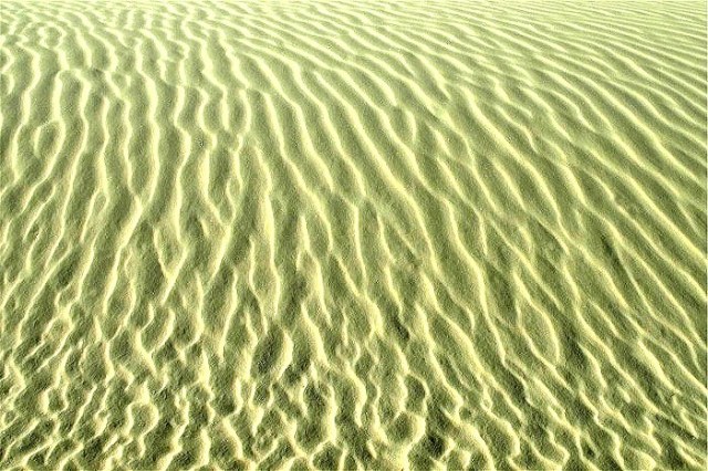 8Copy of DSC_0210ccc