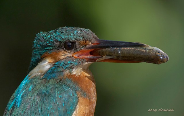 19873333050_1000b40b64_c