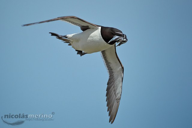 2b8077069976_8b6acbdeef_c