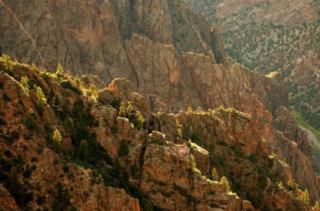 16747634207_a84ceea03c_c