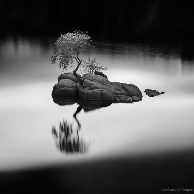 14680757_10154245431362758_4382263202363292418_n