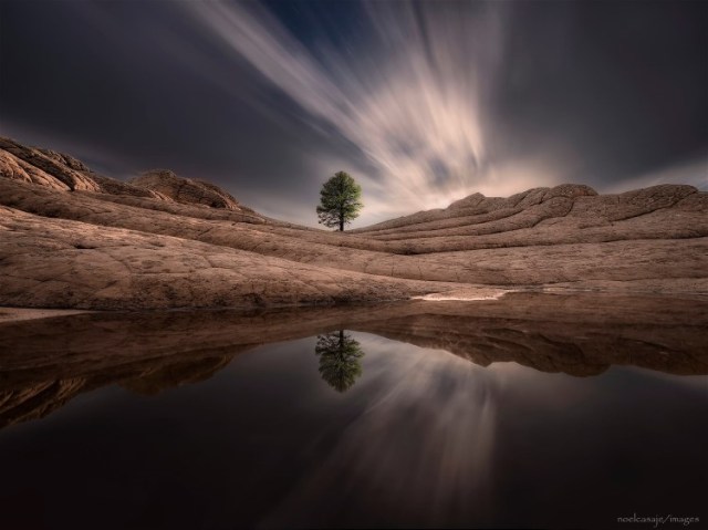 14711577_10154245434077758_7808987708734943163_o-1