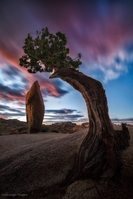 14753884_10154245434547758_4697837606281073232_o