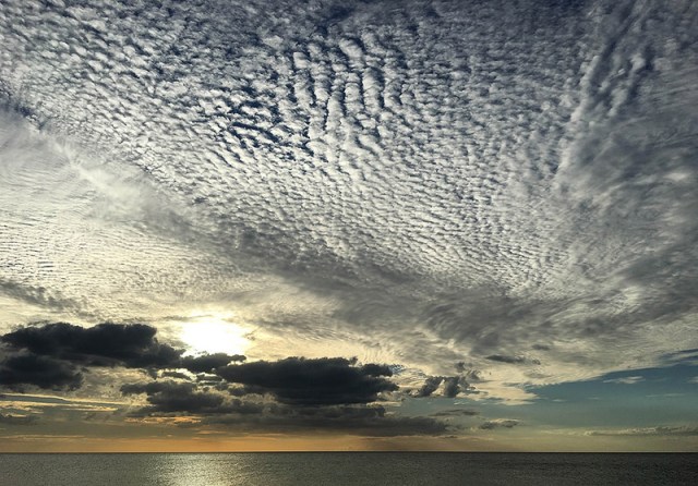 5sky-water-pomarinejaeger