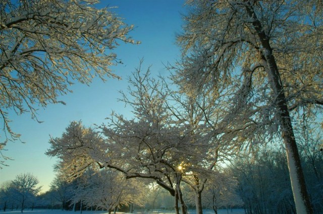 c17copy-of-dsc_0025v