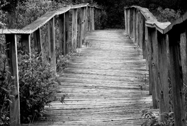 3623003007_ac2bab2806_o