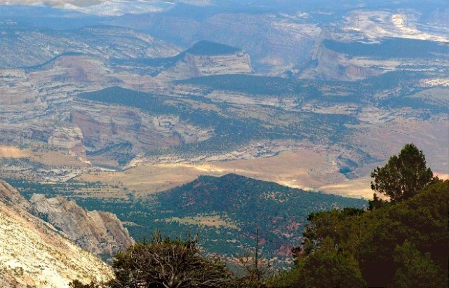 14copy-of-anatwref-109bbb