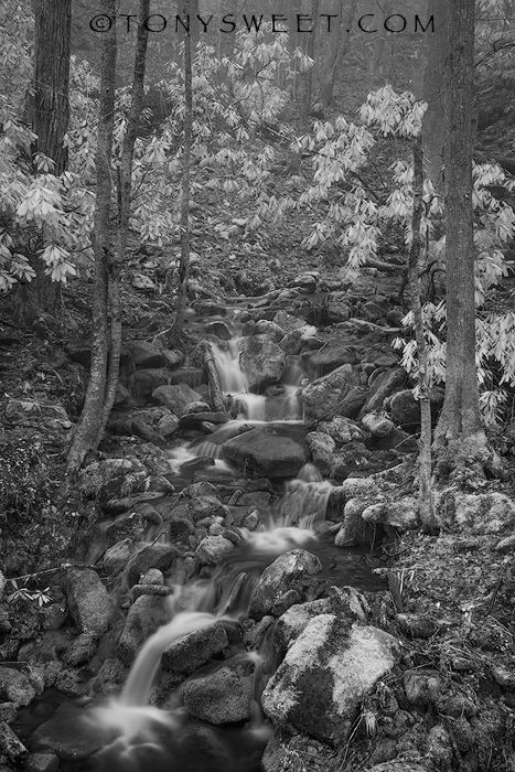 1a16473429_1305286682895142_8946924315018183182_n