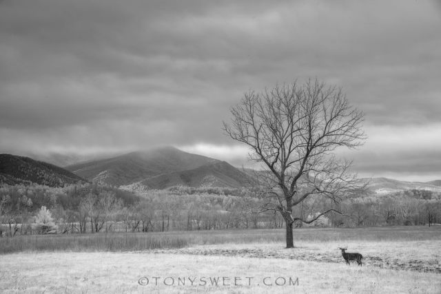 1b16425730_1305199192903891_8557521685254282879_n