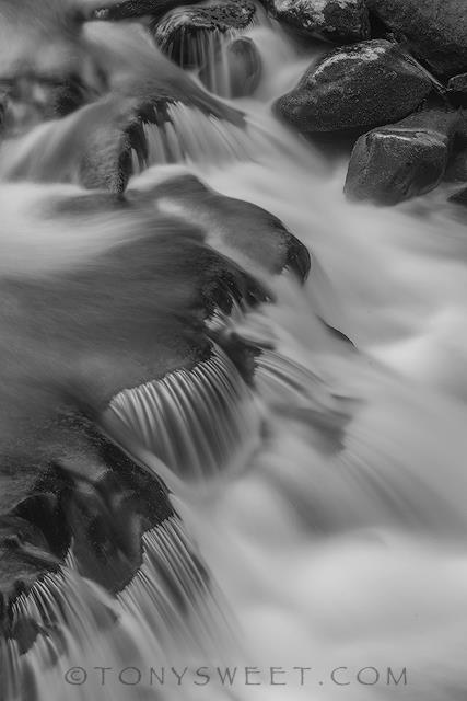 1c16427486_1305309212892889_7412458618162021921_n