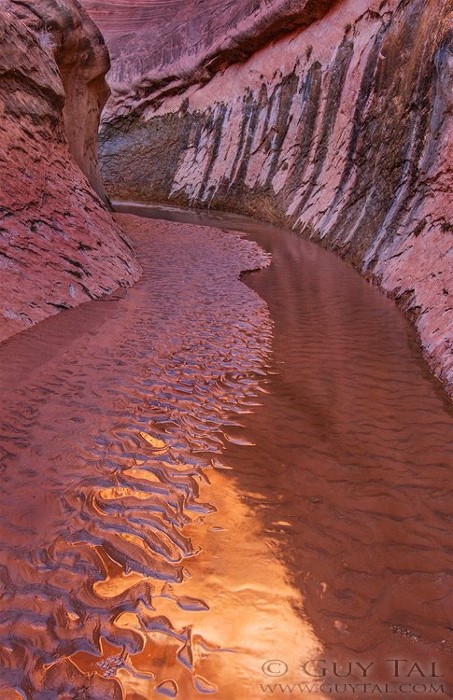 2b16388050_10155103258999708_2697707151677291960_n