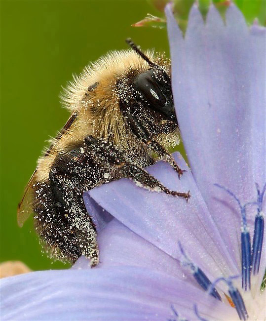 2scopy-of-hora17-216