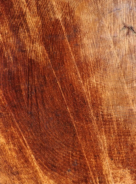 5babsractelmorro-078