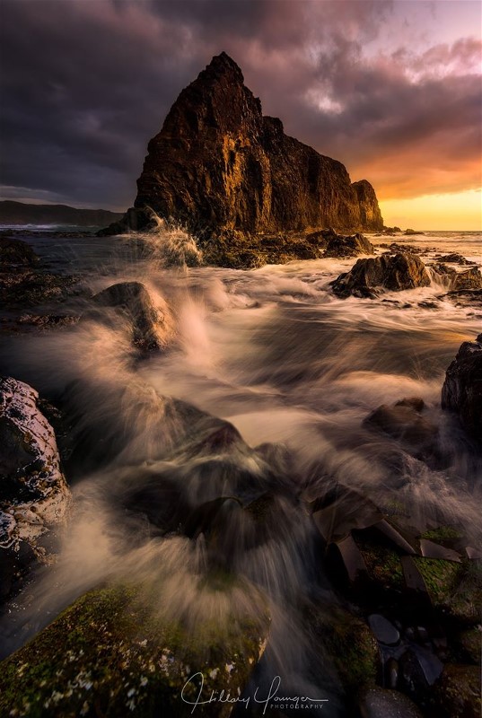 aa16113463_615915495272897_1003386752523533945_o