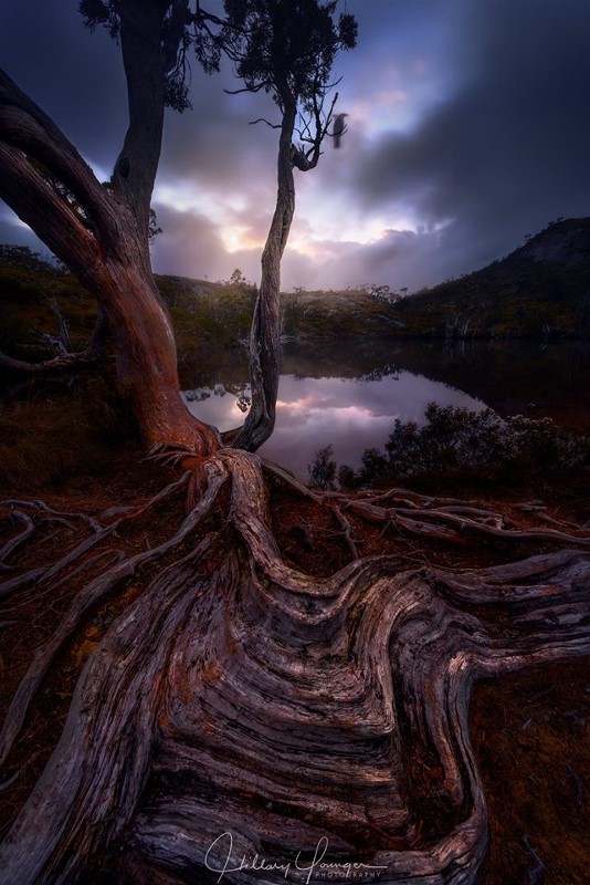 ab16195437_616745115189935_8691752871746349128_n