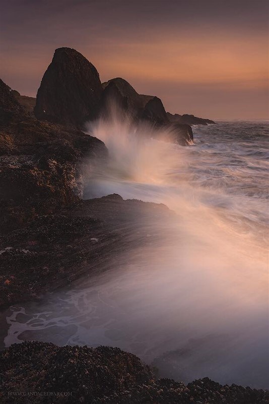 ad15285072_595179947346452_8082869003770988987_n (1)