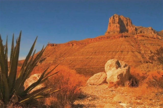 2BF Copy of DSC_0136b__c