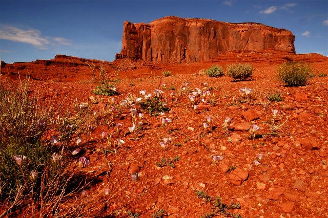 15copy-of-dsc_2562abc