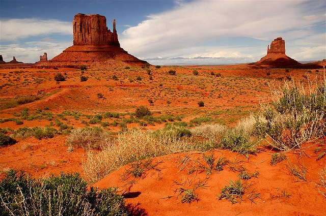 xx3200051956_d899e9f619_z