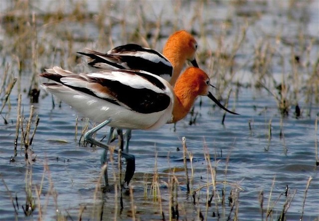 10Copy of Copy b of DSC_2299