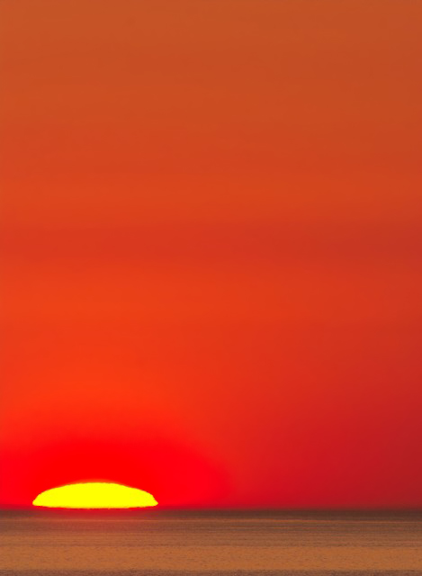 1laSwallowsHawthorn 007