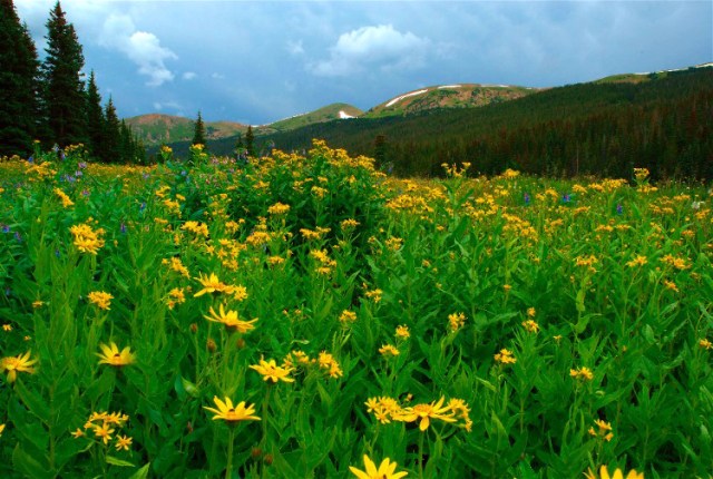 12FtCollinsCanyon 019