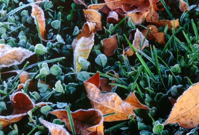 SlidesWaterWinterFall 033