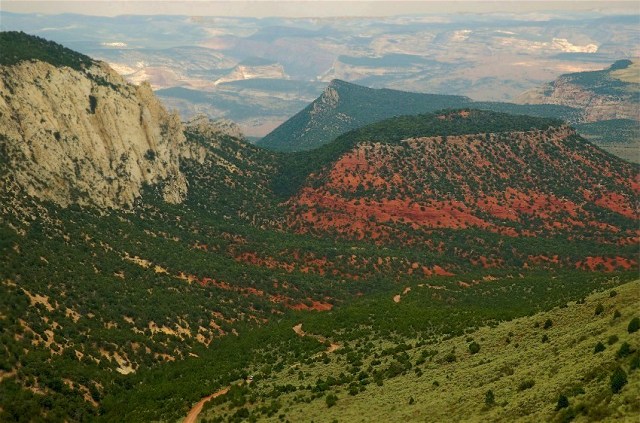 10Copy 1 of ANatWRef 125And2more